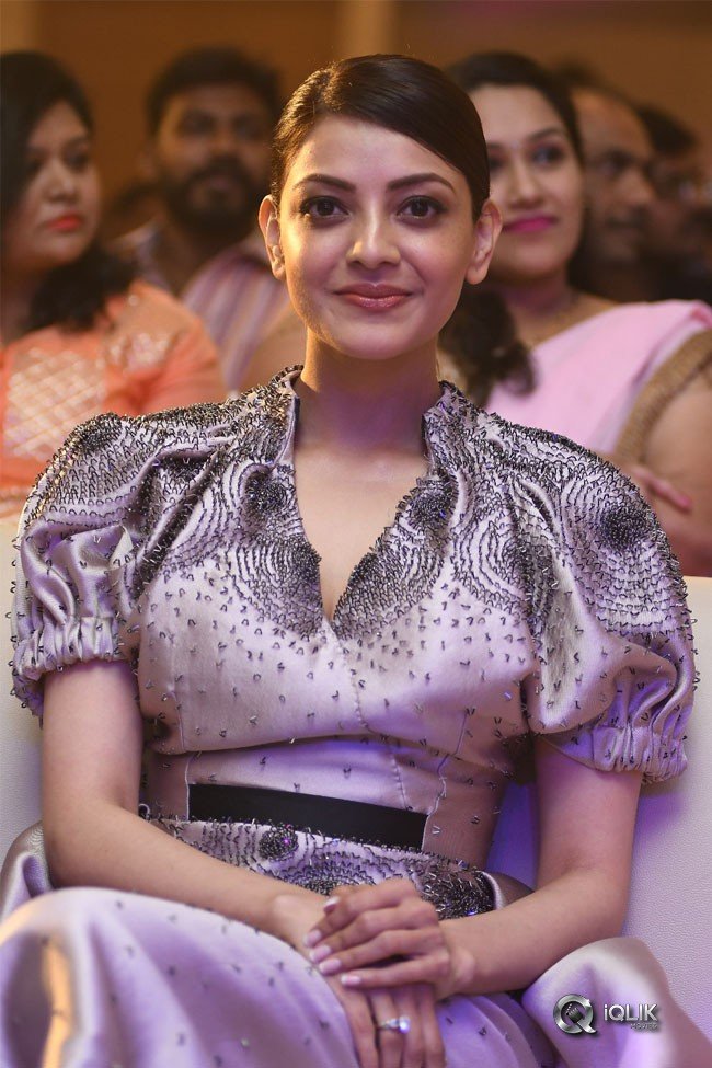 MLA-Movie-Pre-Releae-Event-Photos